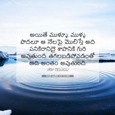 Picture 07 - హెబ్రీ పత్రిక 6:8 TELIRV - అయితే ముళ్ళూ, - Bible Verse Picture