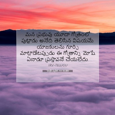Picture 07 - హెబ్రీ పత్రిక 7:14 TELIRV - మన ప్రభువు యూదా - Bible Verse Picture