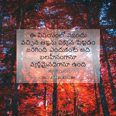 Picture 07 - హెబ్రీ పత్రిక 7:18 TELIRV - ఈ విషయంలో ముందు - Bible Verse Picture
