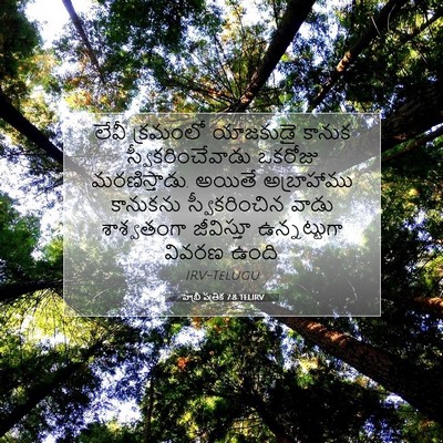 Picture 07 - హెబ్రీ పత్రిక 7:8 TELIRV - లేవీ క్రమంలో - Bible Verse Picture