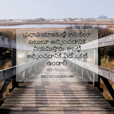 Picture 07 - హెబ్రీ పత్రిక 8:3 TELIRV - ప్రధాన యాజకుణ్ణి - Bible Verse Picture