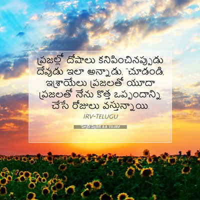 Picture 07 - హెబ్రీ పత్రిక 8:8 TELIRV - ప్రజల్లో దోషాలు - Bible Verse Picture