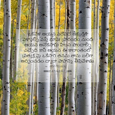 Picture 07 - హెబ్రీ పత్రిక 9:26 TELIRV - ఒకవేళ ఆయన పదేపదే - Bible Verse Picture