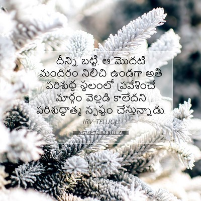 Picture 07 - హెబ్రీ పత్రిక 9:8 TELIRV - దీన్ని బట్టి, ఆ - Bible Verse Picture