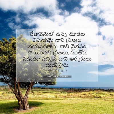 Picture 07 - హోషేయ 10:5 TELIRV - బేతావెనులో ఉన్న - Bible Verse Picture