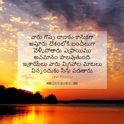 Picture 07 - హోషేయ 10:6 TELIRV - వారు గొప్ప రాజుకు - Bible Verse Picture