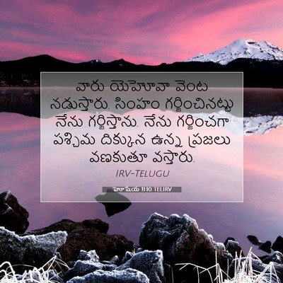 Picture 07 - హోషేయ 11:10 TELIRV - వారు యెహోవా వెంట - Bible Verse Picture