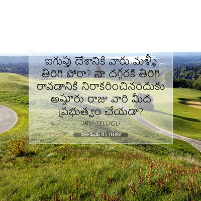 Picture 07 - హోషేయ 11:5 TELIRV - ఐగుప్తు దేశానికి - Bible Verse Picture