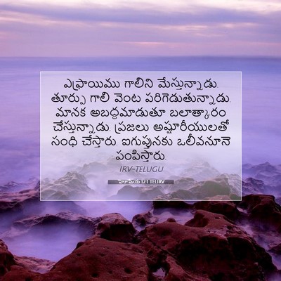 Picture 07 - హోషేయ 12:1 TELIRV - ఎఫ్రాయిము గాలిని - Bible Verse Picture
