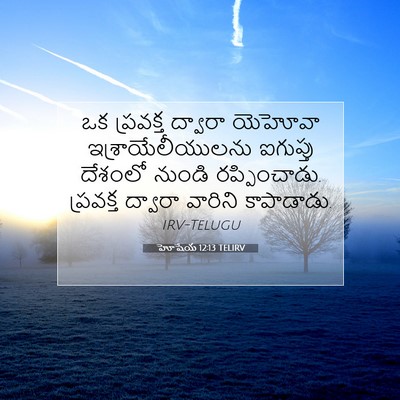 Picture 07 - హోషేయ 12:13 TELIRV - ఒక ప్రవక్త ద్వారా - Bible Verse Picture