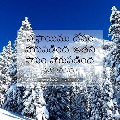 Picture 07 - హోషేయ 13:12 TELIRV - ఎఫ్రాయిము దోషం - Bible Verse Picture