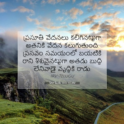 Picture 07 - హోషేయ 13:13 TELIRV - ప్రసూతి వేదనలు - Bible Verse Picture