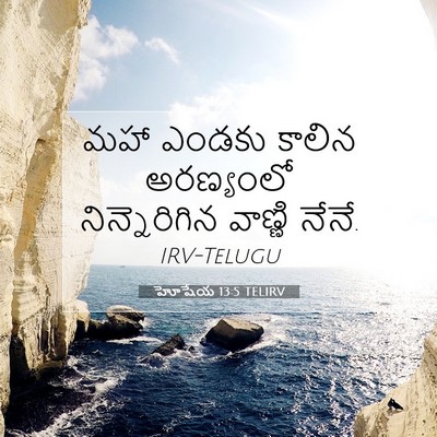 Picture 07 - హోషేయ 13:5 TELIRV - మహా ఎండకు కాలిన - Bible Verse Picture