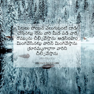 Picture 07 - హోషేయ 13:8 TELIRV - పిల్లలు పోయిన - Bible Verse Picture