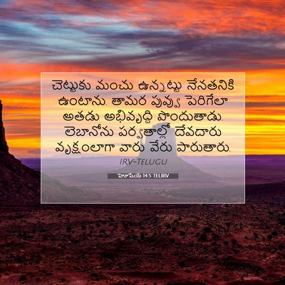 Picture 07 - హోషేయ 14:5 TELIRV - చెట్టుకు మంచు - Bible Verse Picture