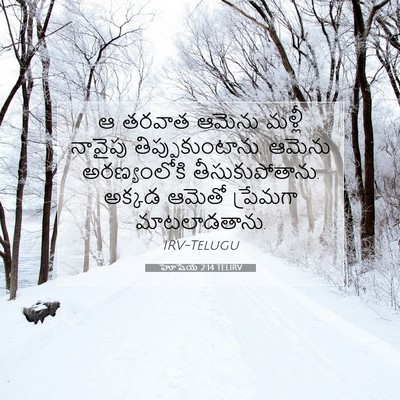 Picture 07 - హోషేయ 2:14 TELIRV - ఆ తరవాత ఆమెను - Bible Verse Picture