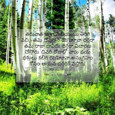 Picture 07 - హోషేయ 3:5 TELIRV - తరువాత - Bible Verse Picture