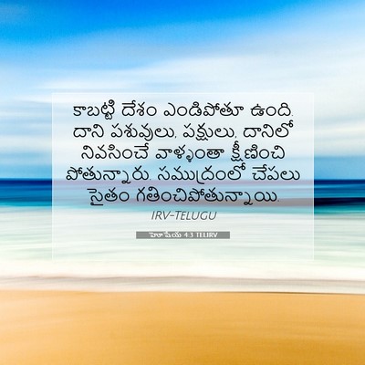 Picture 07 - హోషేయ 4:3 TELIRV - కాబట్టి దేశం - Bible Verse Picture