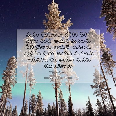 Picture 07 - హోషేయ 6:1 TELIRV - మనం యెహోవా - Bible Verse Picture