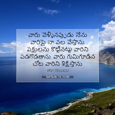 Picture 07 - హోషేయ 7:12 TELIRV - వారు - Bible Verse Picture