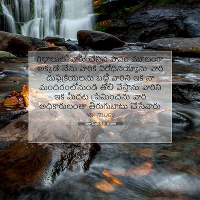 Picture 07 - హోషేయ 9:15 TELIRV - గిల్గాలులో వారు - Bible Verse Picture