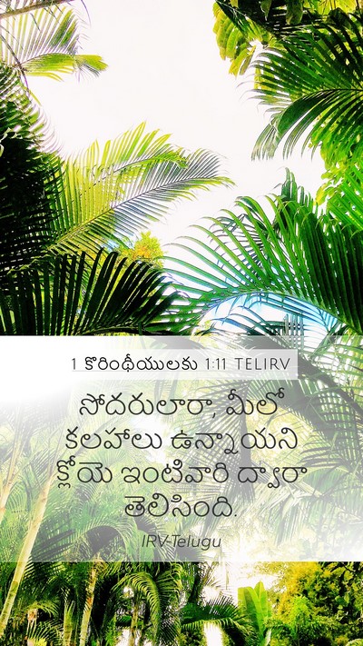 1 కొరింథీయులకు 1:11 TELIRV Bible Verse Image