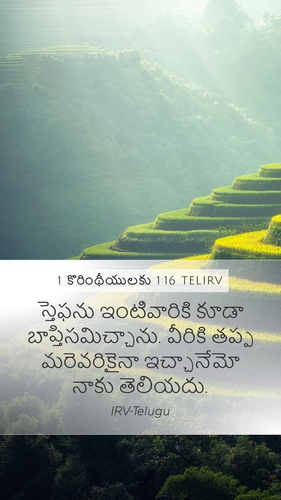 1 కొరింథీయులకు 1:16 TELIRV Mobile Phone Wallpaper - స్తెఫను - Mobile Bible Verse Wallpaper