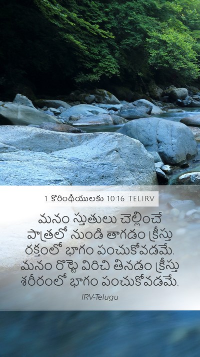 1 కొరింథీయులకు 10:16 TELIRV Bible Verse Image