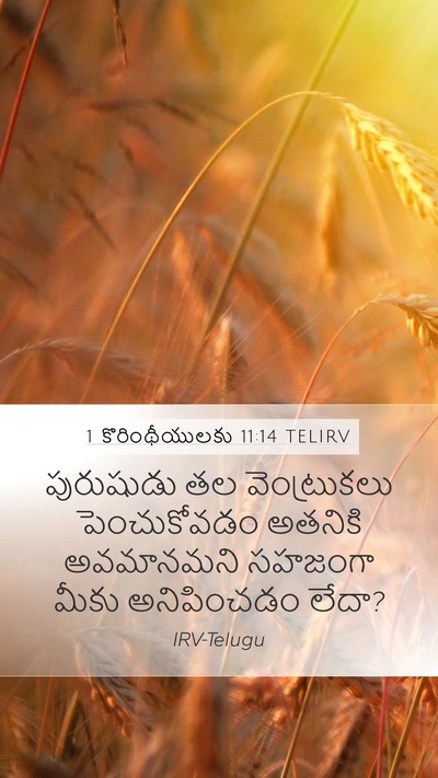 1 కొరింథీయులకు 11:14 TELIRV Bible Verse Image