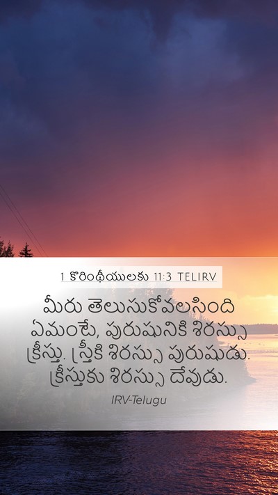 1 కొరింథీయులకు 11:3 TELIRV Bible Verse Image