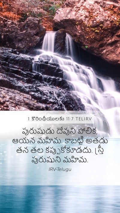 1 కొరింథీయులకు 11:7 TELIRV Bible Verse Image