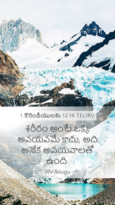 1 కొరింథీయులకు 12:14 TELIRV Bible Verse Image