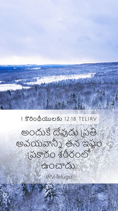1 కొరింథీయులకు 12:18 TELIRV Mobile Phone Wallpaper - అందుకే దేవుడు - Mobile Bible Verse Wallpaper