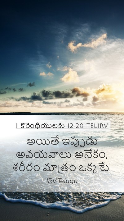1 కొరింథీయులకు 12:20 TELIRV Bible Verse Image