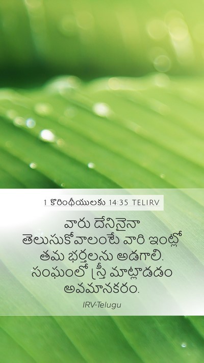 1 కొరింథీయులకు 14:35 TELIRV Bible Verse Image