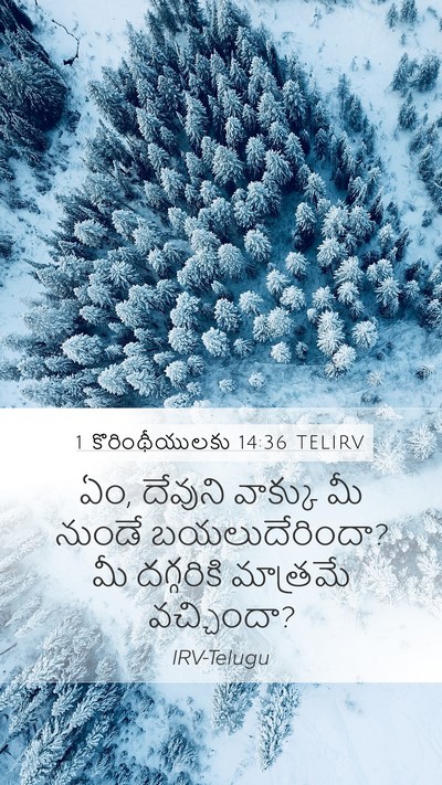 1 కొరింథీయులకు 14:36 TELIRV Mobile Phone Wallpaper - ఏం, దేవుని వాక్కు - Mobile Bible Verse Wallpaper