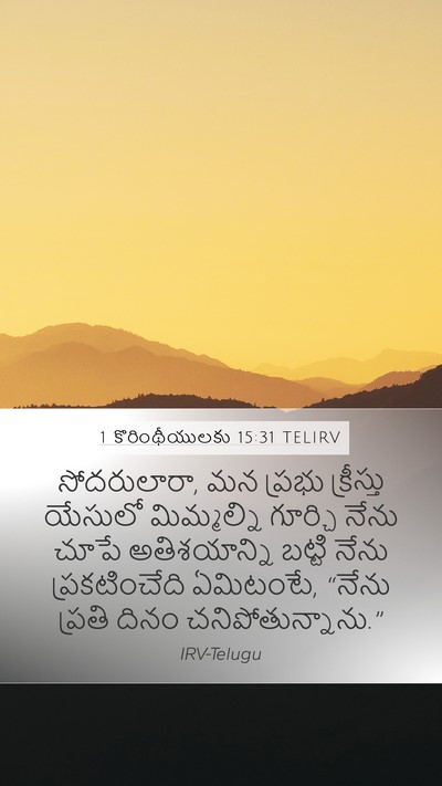 1 కొరింథీయులకు 15:31 TELIRV Mobile Phone Wallpaper - సోదరులారా, మన - Mobile Bible Verse Wallpaper