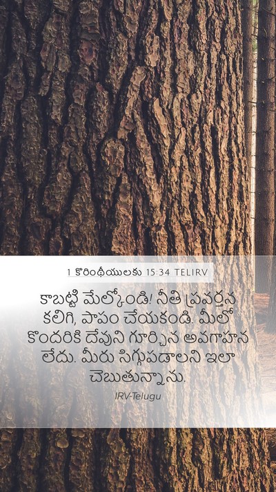 1 కొరింథీయులకు 15:34 TELIRV Bible Verse Image