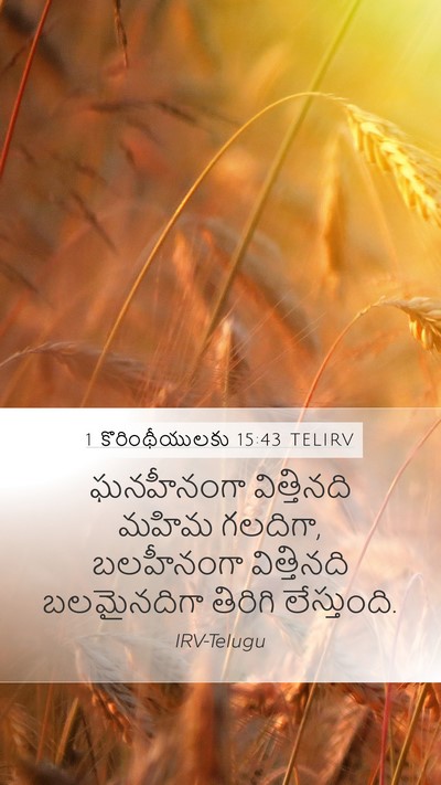 1 కొరింథీయులకు 15:43 TELIRV Bible Verse Image