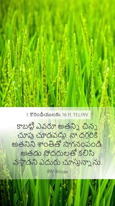 1 కొరింథీయులకు 16:11 TELIRV Bible Verse Image