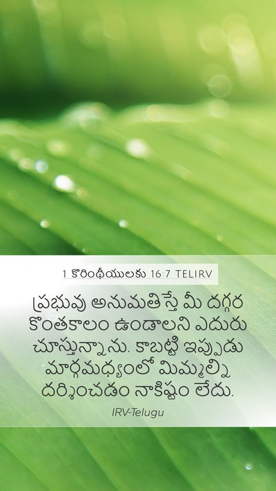 1 కొరింథీయులకు 16:7 TELIRV Bible Verse Image