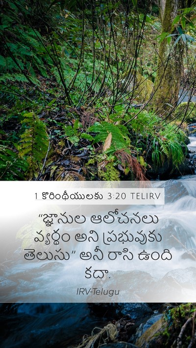 1 కొరింథీయులకు 3:20 TELIRV Bible Verse Image