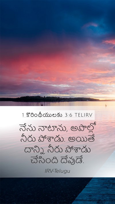 1 కొరింథీయులకు 3:6 TELIRV Bible Verse Image