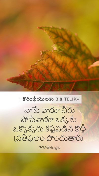 1 కొరింథీయులకు 3:8 TELIRV Bible Verse Image