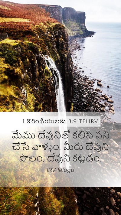 1 కొరింథీయులకు 3:9 TELIRV Bible Verse Image