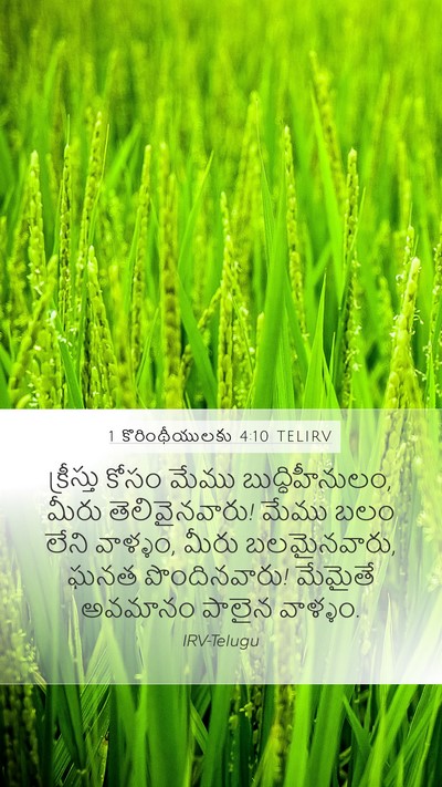 1 కొరింథీయులకు 4:10 TELIRV Bible Verse Image