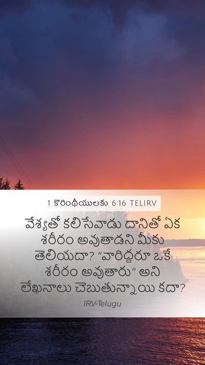 1 కొరింథీయులకు 6:16 TELIRV Bible Verse Image