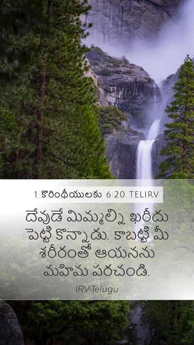 1 కొరింథీయులకు 6:20 TELIRV Bible Verse Image