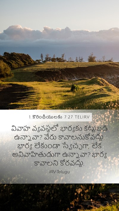 1 కొరింథీయులకు 7:27 TELIRV Mobile Phone Wallpaper - వివాహ వ్యవస్థలో - Mobile Bible Verse Wallpaper