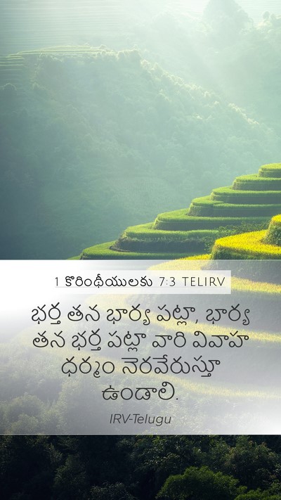 1 కొరింథీయులకు 7:3 TELIRV Bible Verse Image